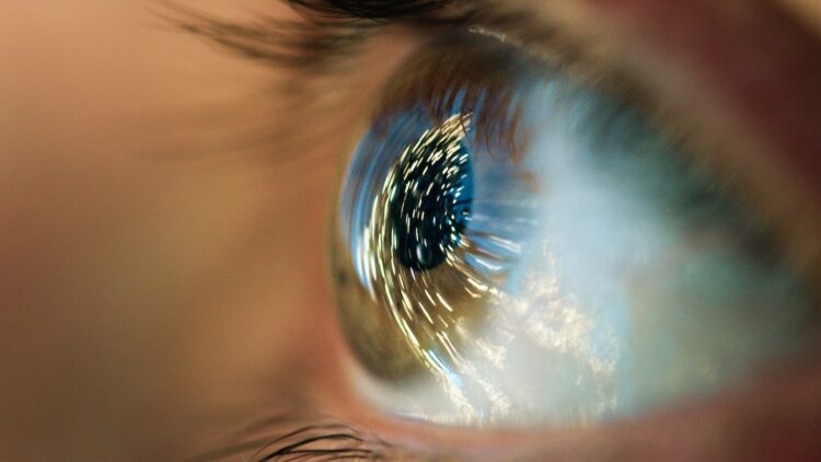 The solar panels would be naturally self-powered and portable, without requiring cables and wires into the eye. Image: francescosgura/stock.adobe.com