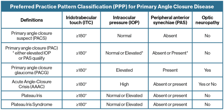 Gonioscopy primer: Insights from a gonioscopy workshop (Part 1) - Insight