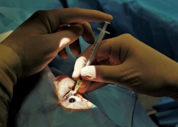 RANZCO is teaming up with the RACGP to boost the number of practitioners capable of doing intravitreal injections. Image: kerale/shutterstock.com.