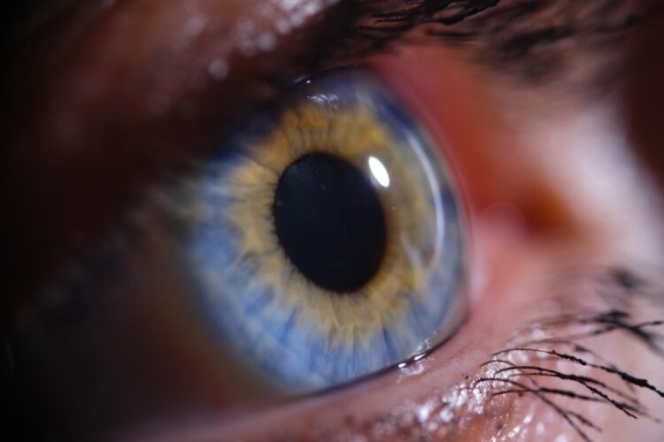 Researchers in the US believe properties in breast milk can help heal a corneal wound. Image: H_Ko/stock.adobe.com.