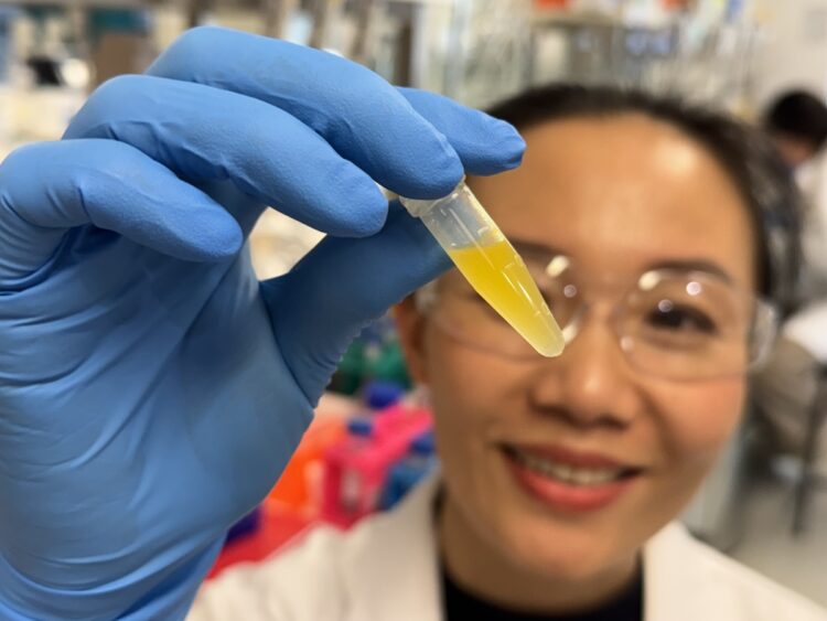 Dr Dao Nguyen examines a vial of lutein formulation developed for potential use in eyedrop treatments. Images: Will Wright, RMIT University.