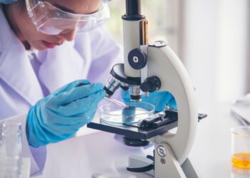 Scientists have grown retinal tissue in the lab. Image: aFotostock/stock.adobe.com.