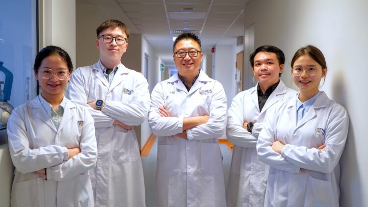 The research team at NUS. From left, Chen Yinglu, Dr Xing Kuoran, A/Prof David Leong, Glebert Cañete Dadol, and Tong Siye. Image: NUS.