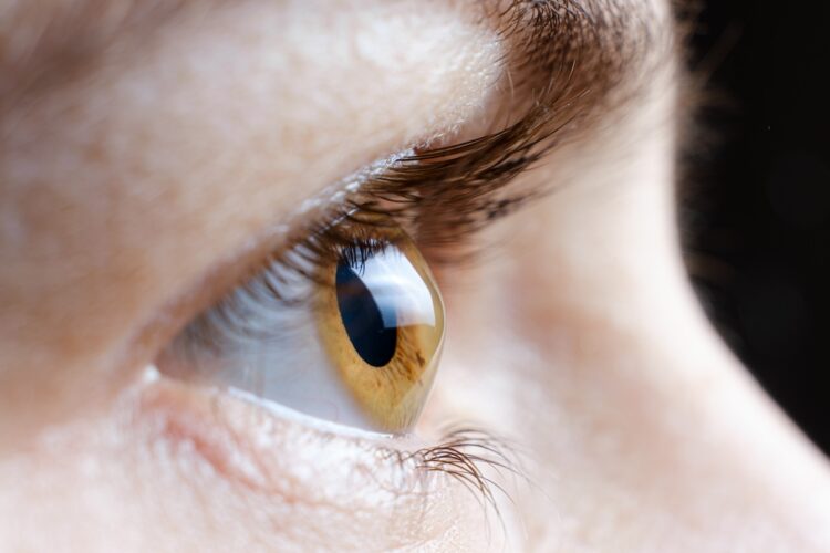 This CPD item guides optometrists in practical care of keratoconus. Image: Zarina Lukash/stock.adobe.com.
